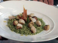 foto ricetta Riso mantecato alla crema di basilico, melanzane fritte, capesante dorate e agretto al timo 