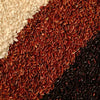  Arroz y Nutrición
